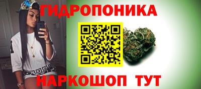 Альфа ПВП Бийск
