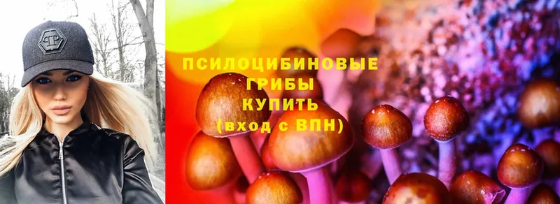 Псилоцибиновые грибы Psilocybine cubensis  закладка  Канск 