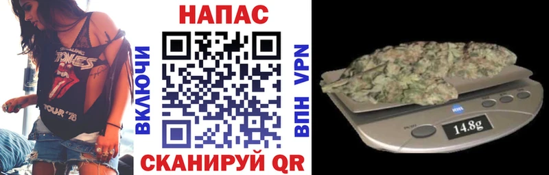 OMG как войти  Канск  Конопля гибрид 