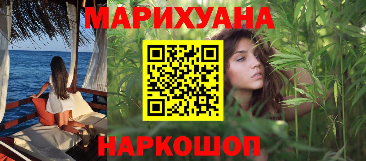 Канабис сатива Канск